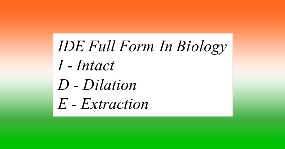 IDE Full Form In Biology