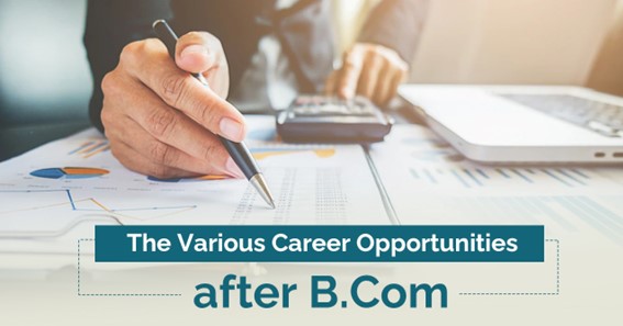 The Various Career Opportunities After B.Com